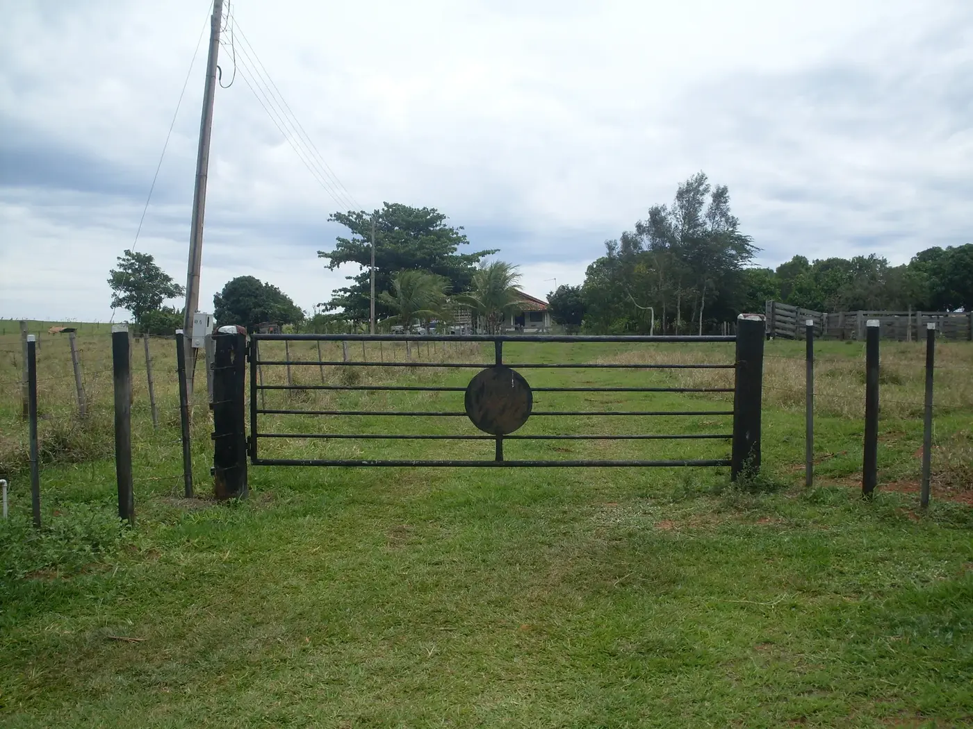 Portão de entrada e pasto do sítio