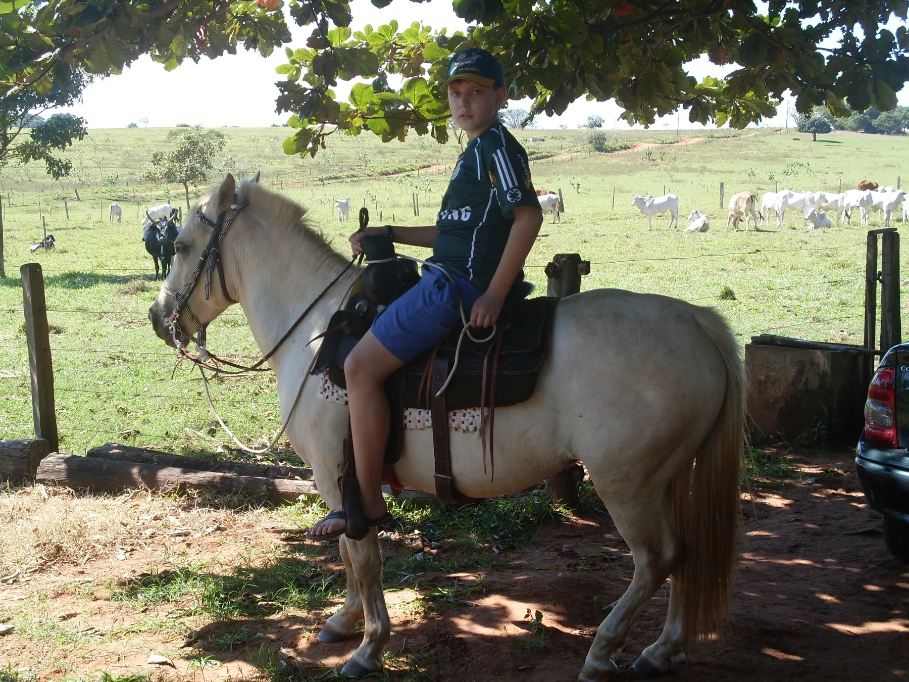 Registro antigo a cavalo no sítio