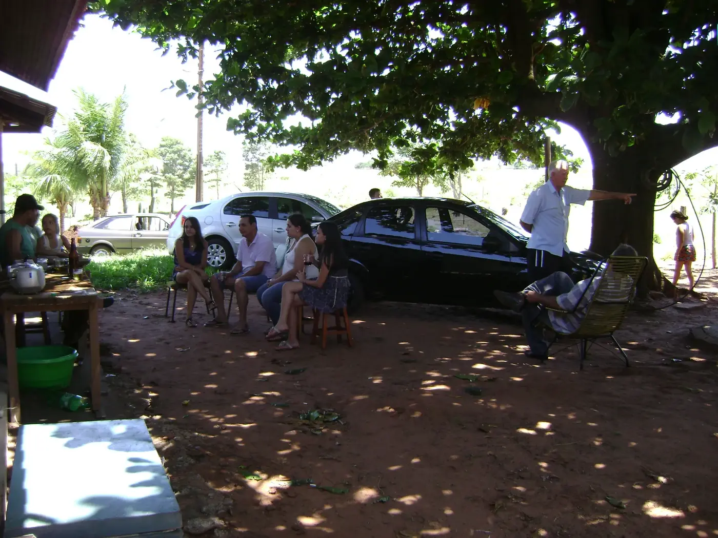 Família e amigos reunidos à sombra de uma árvore